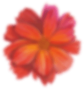 flower.png flower.png