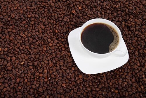 Coffee / Caffeine
