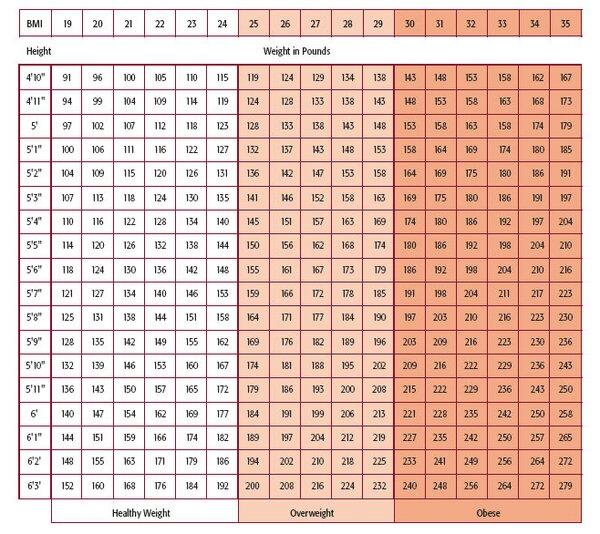 Adult Body Mass Index (BMI) Chart 